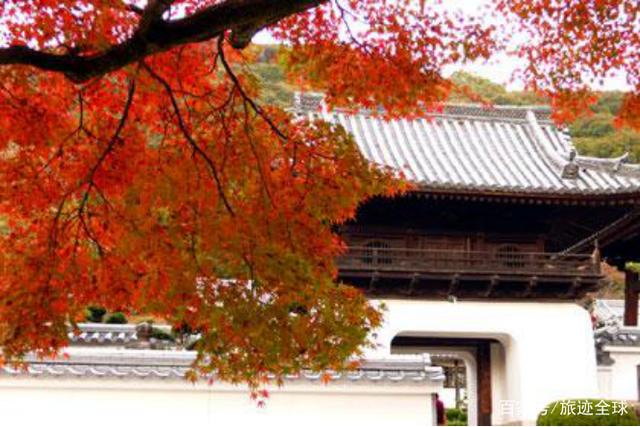 深秋時節日本景色非常優美 到底有多優美呢 趕緊看進來吧 雪花新闻